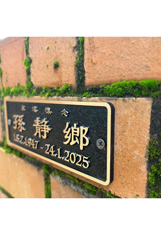 Bronze plaque 0115 (185X65mm)