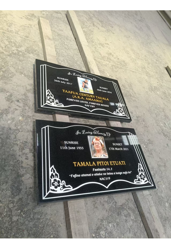 Plaque 0100 (500x300mm)