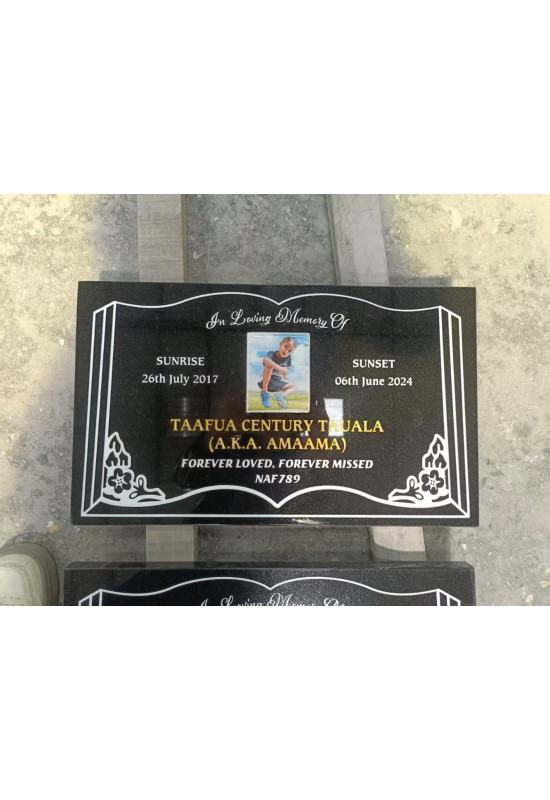 Plaque 0100 (500x300mm)